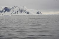 
DSC00060